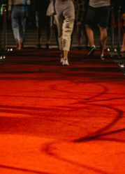 Red carpet event at night with rope barriers.